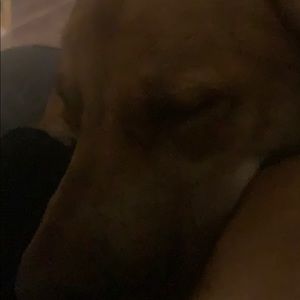 Meet your Posher, Jamie